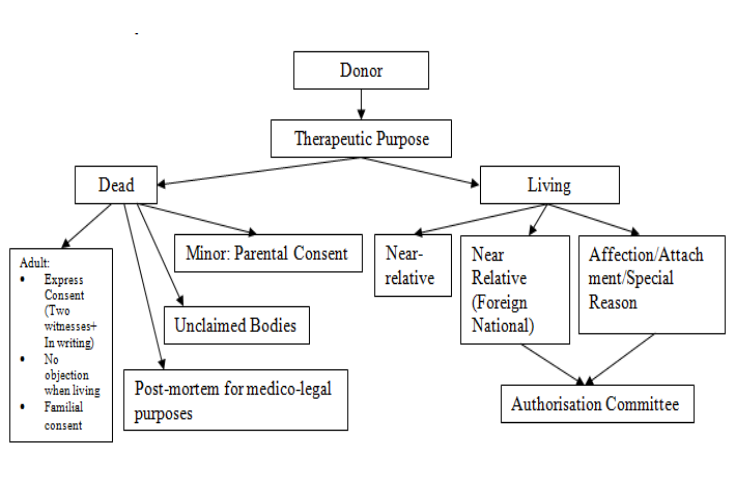 Exhibit reproduced from the original judgment