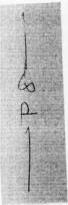 Exhibit reproduced from the original judgment
