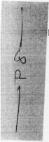 Exhibit reproduced from the original judgment