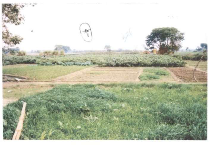 Exhibit reproduced from the original judgment