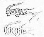 Exhibit reproduced from the original judgment