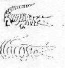 Exhibit reproduced from the original judgment