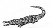Exhibit reproduced from the original judgment