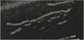 Exhibit reproduced from the original judgment