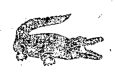 Exhibit reproduced from the original judgment